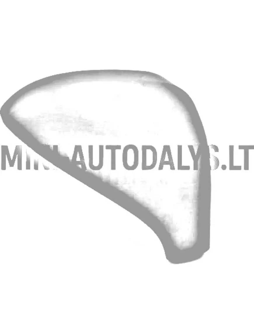 Peeglikate parempoolne välispeegel JDM Aloes / Roxsy