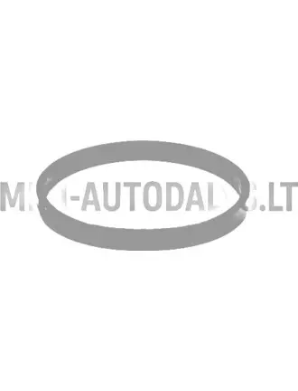 Termostaadi tihend Lombardini 442 / 480 / 492 DCI