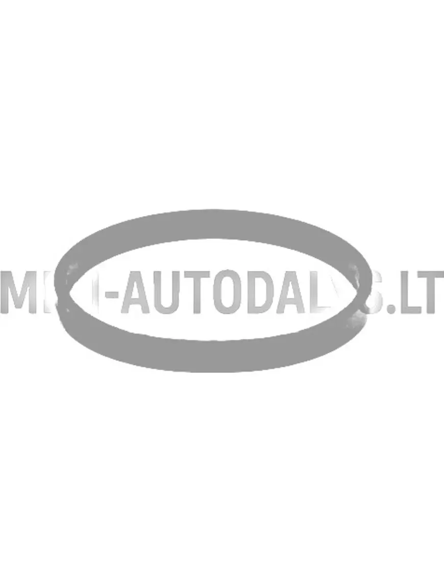 Termostaadi tihend Lombardini 442 / 480 / 492 DCI