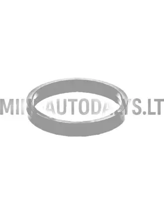 Sisselaskekollektori jahutusahela tihend Lombardini 442 / 480 / 492 DCI