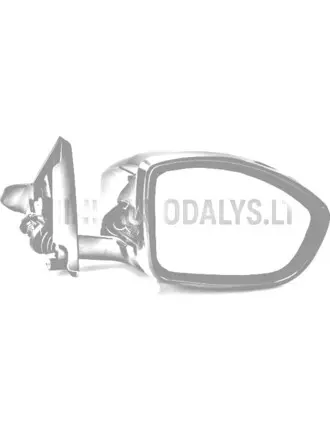 Parempoolne peegel Ligier JS60 PH2