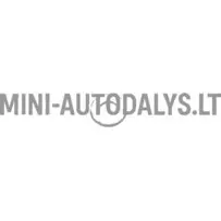 Põletiplaat Lombardini 442 / 480 / 492 DCI (0,5 mm)