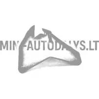 Aixam Ambition esiosa parempoolne mootorikatte hing