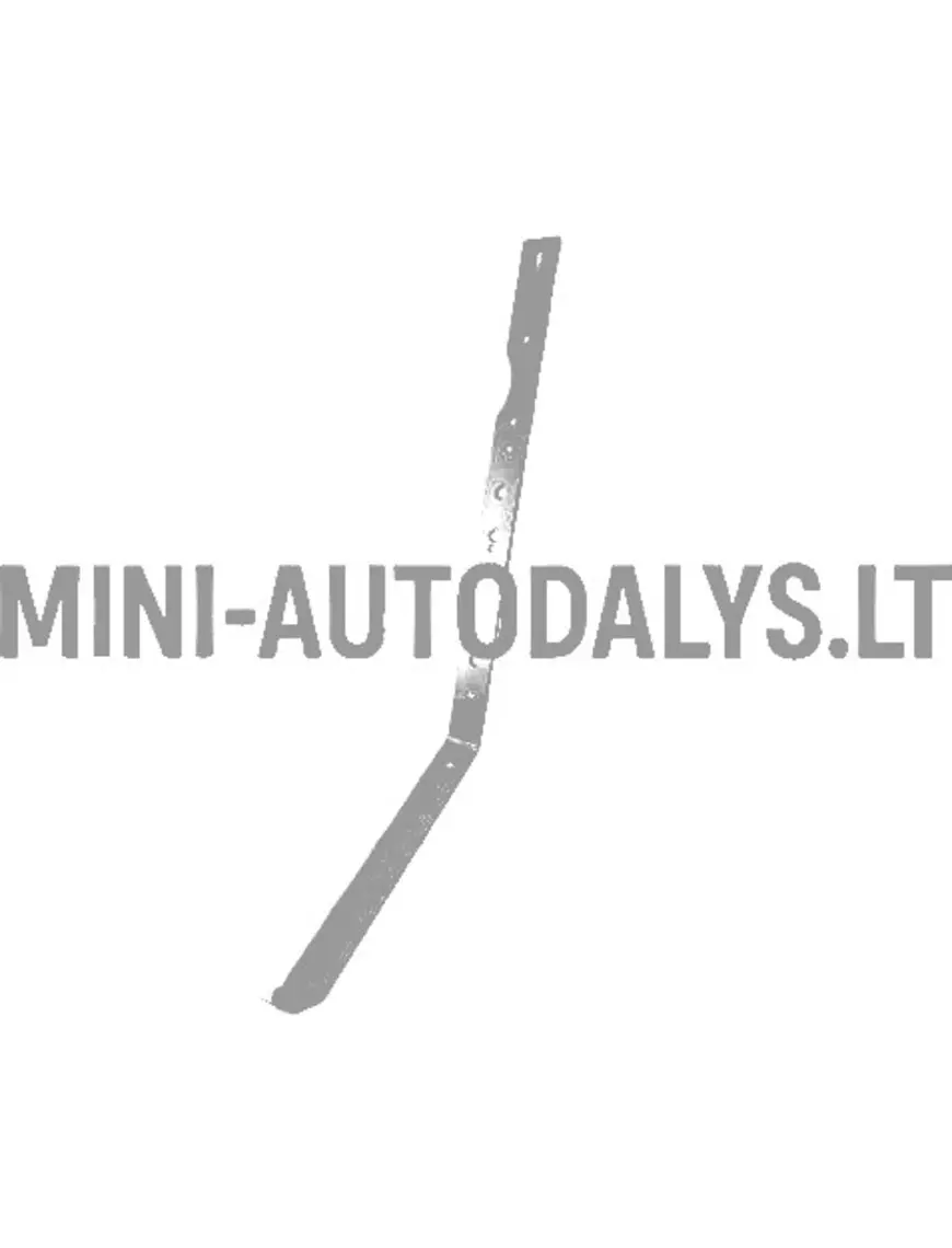 Aixam Ambition šarniiriga veermik