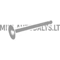 Yanmar 2TNE68 väljalaskeklapp