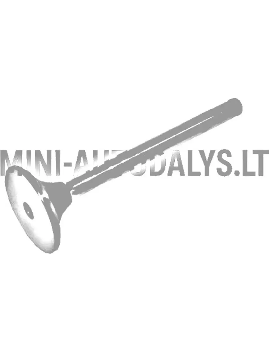 Väljalaskeklapp Lombardini 502 FOCS / Progress