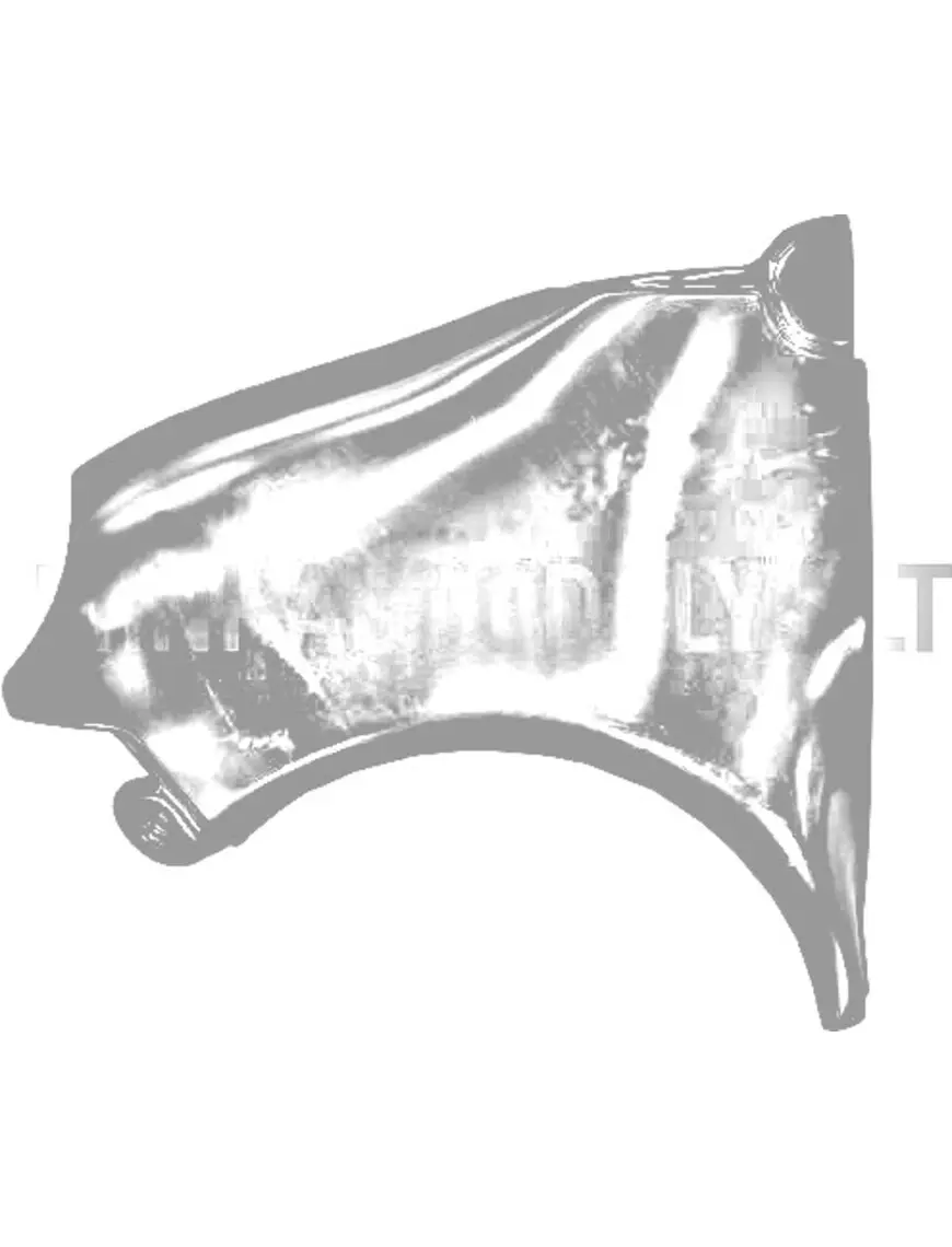 Vasakpoolne esitiib Aixam 500.4 #18080 | Mini Auto Parts