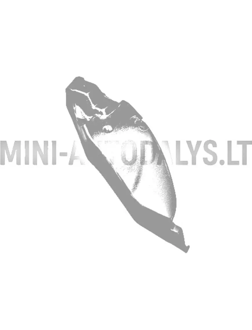 Aixam Emotion vasakpoolne sisemine esitiib