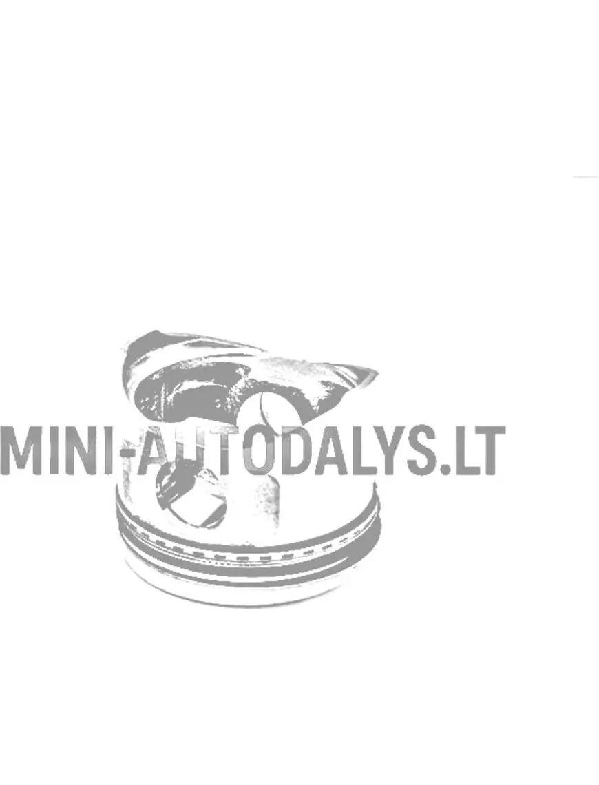 Kolb + kolvirõngad Yanmar mootor