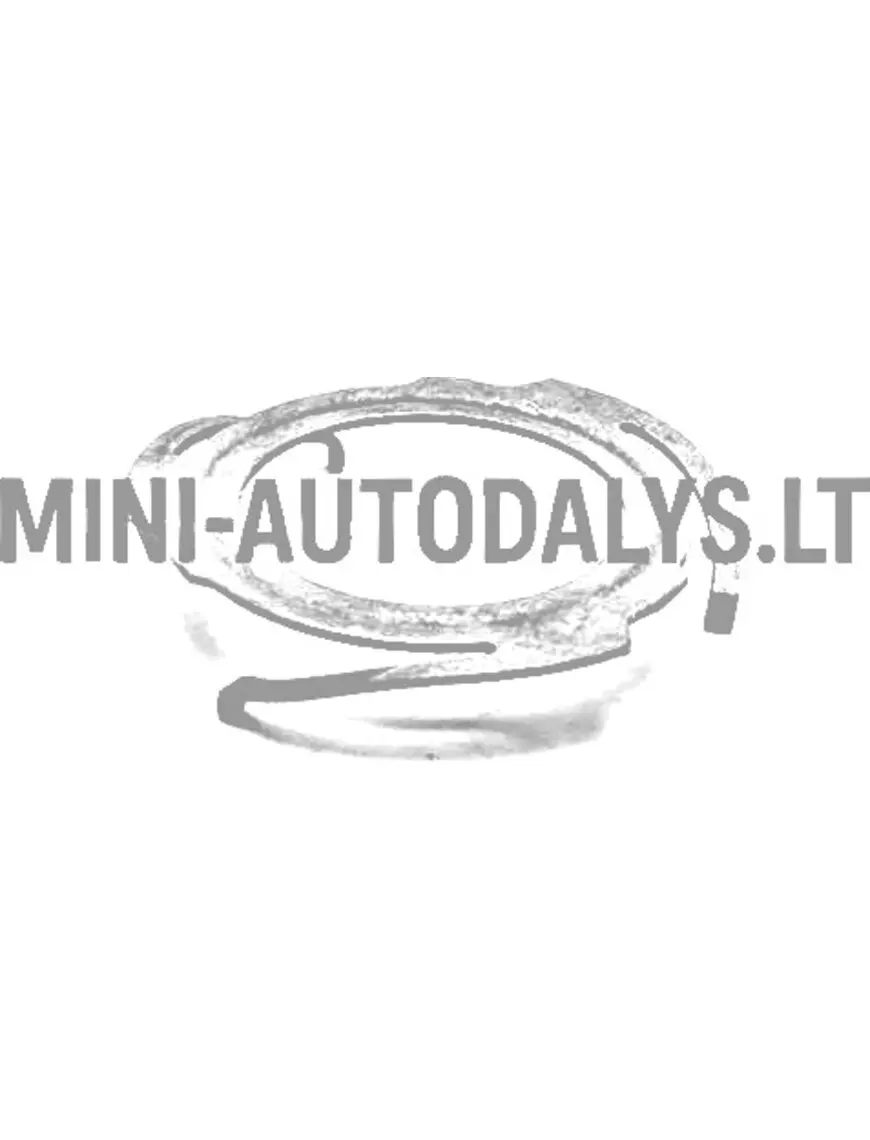 Kütusepaagi ujuk Aixam 1997-2010 mutter