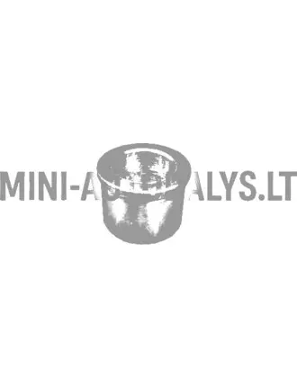 Variomatic käigukasti täitepuks Ligier