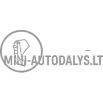 Aixam 500.4 Miniveni vasaku tagumise nurga stange.