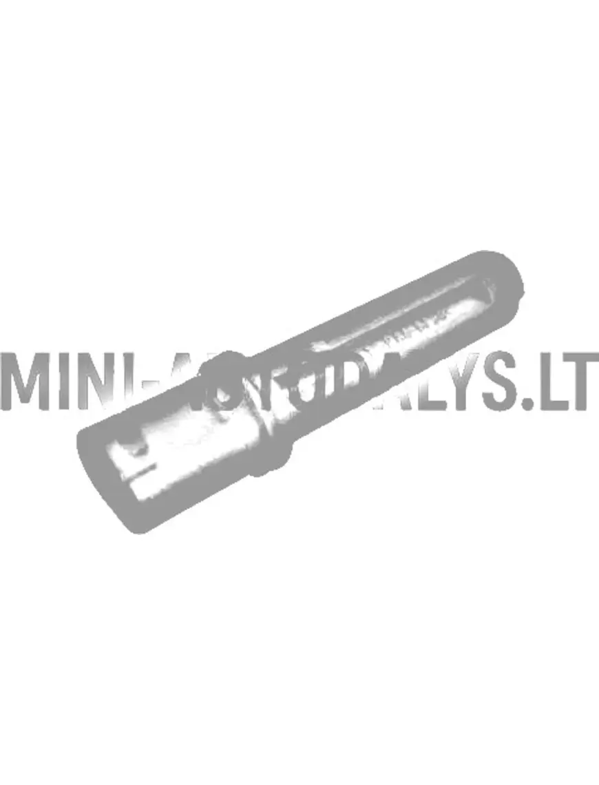 Aixam 2008-2013 linna tule hoidik.