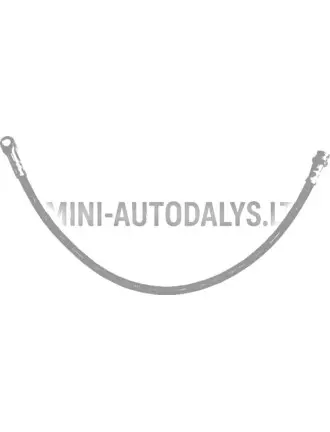 Painduv tagumine pidurivoolik Chatenet