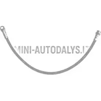 Painduv tagumine pidurivoolik Chatenet