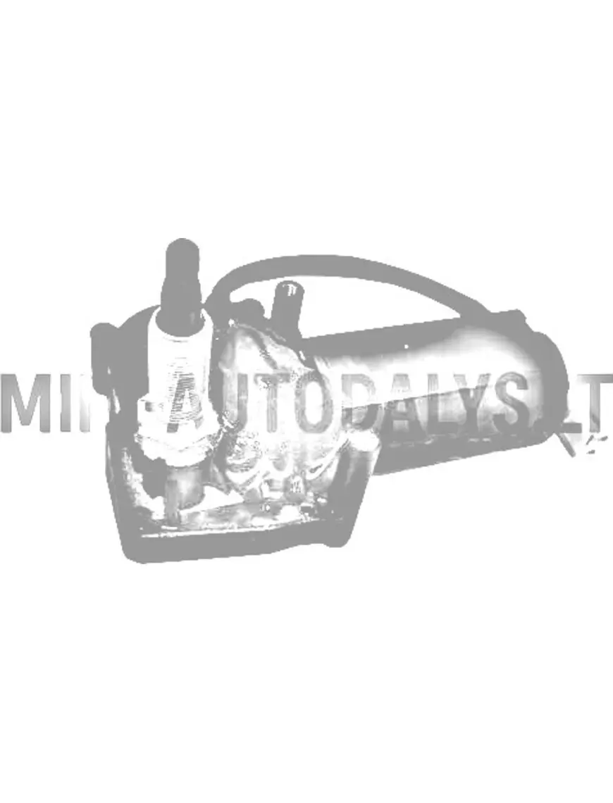 Tagumiste kojameeste mootor JDM Albizia / Abaca / Aloes / Roxsy