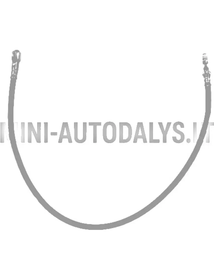 Painduv tagumine pidurivoolik JDM Aloës / Roxsy / Xheos