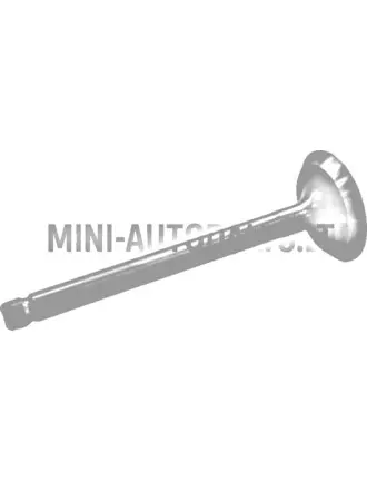 Sisselaskeklapp Aixam Kubota Z402