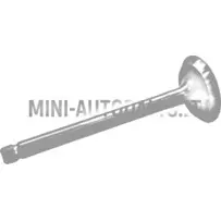 Sisselaskeklapp Aixam Kubota Z402