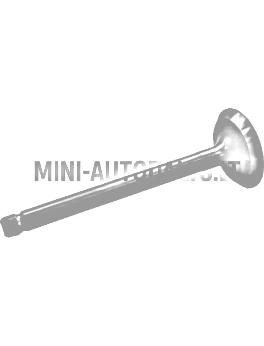 Sisselaskeklapp Aixam Kubota Z402