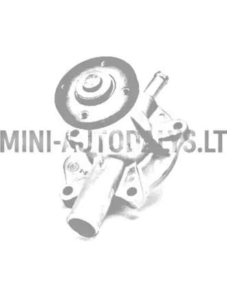 Veepump Aixam Kubota Z402 (1. mudel)