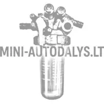 Paagifiltri komplekt Aixam Kubota Z402