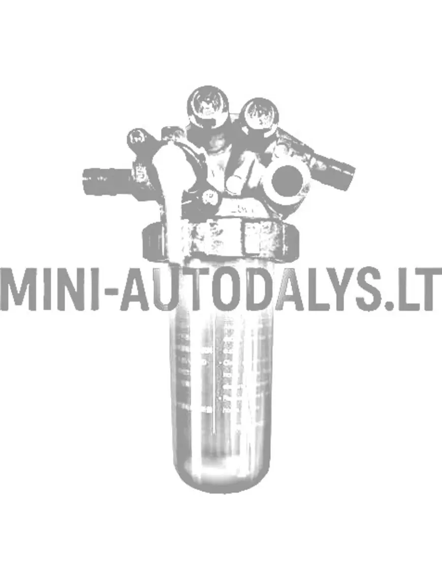 Paagifiltri komplekt Aixam Kubota Z402