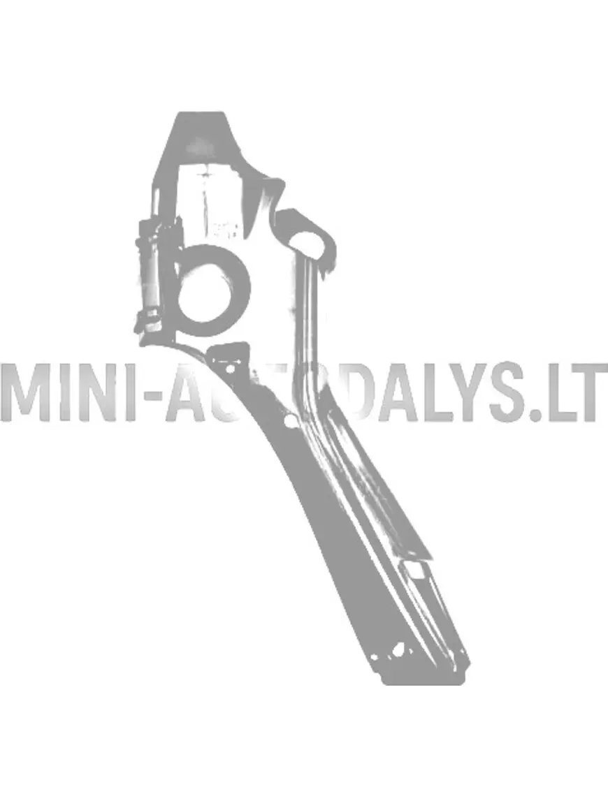 Sisemine parempoolne esitiib Ligier IXO #18597 | Mini Auto Parts