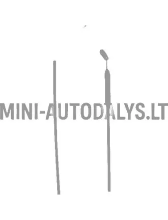 Gaasipedaali / drosselklapi tross Ligier Ambra / 162