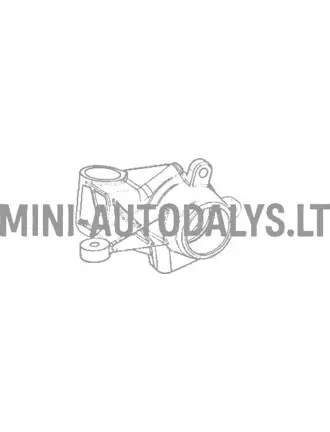 Parempoolne rooliots Aixam MEGA 1