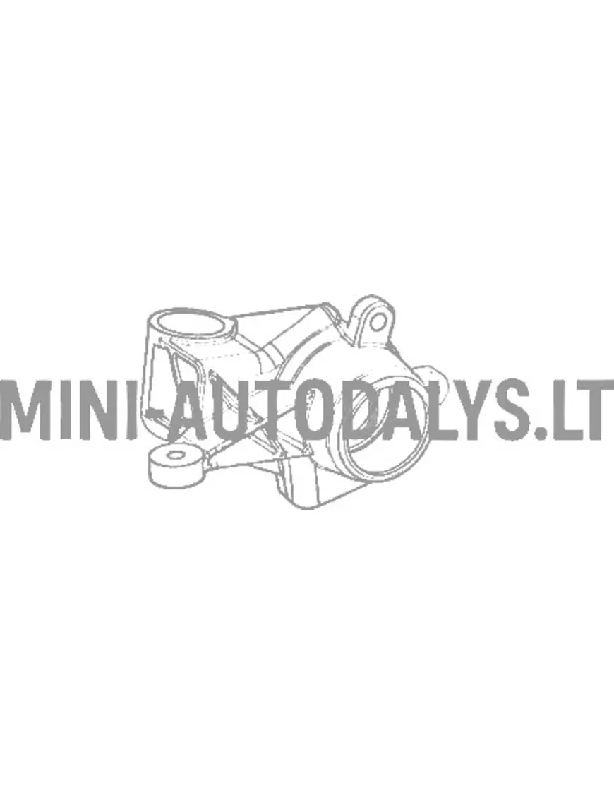 Parempoolne rooliots Aixam MEGA 1