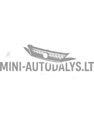 Kapoti iluvõre / esikaitseraud "Aixam Ambition" (läikiv must)