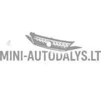 Kapoti iluvõre / esikaitseraud "Aixam Ambition" (läikiv must)