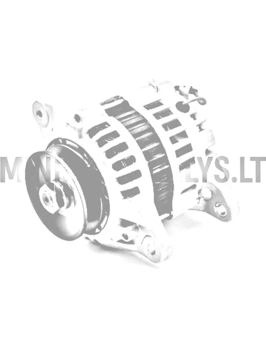 Canta generaator (1. versioon)