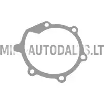 Veepumba tihend Casalini Mitsubishi L2E / L2C