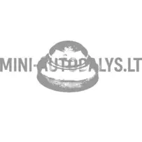 Aixam mootori vaskseib (135 grammi)