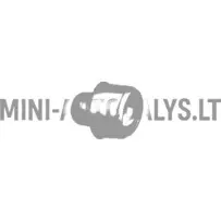 Aixam Impulsion Crossover / Coupe väljalaskesüsteemi osa