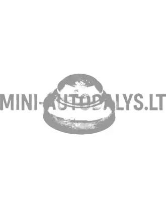 Mootori kaal Aixam (165 grammi)