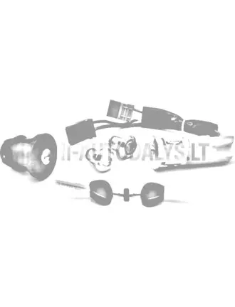 Süütevõtmelukk komplekt Ligier / Microcar / Due (2 süüteküünalt)