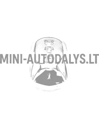 Käigukangi nupp Aixam