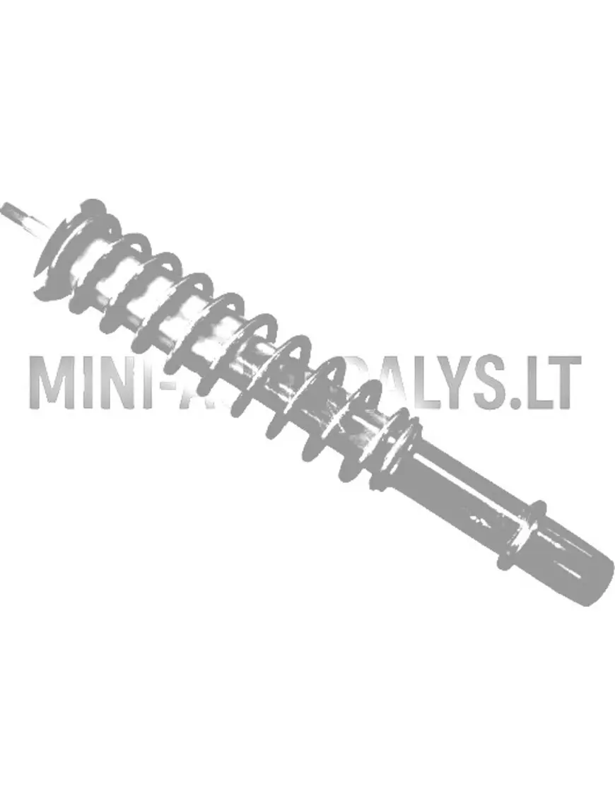 Esiamort Microcar Virgo 3 esiosa