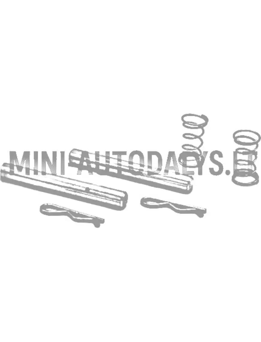 Tagumiste piduriklotside tihvtide komplekt, raud, v2 Microcar / Ligier