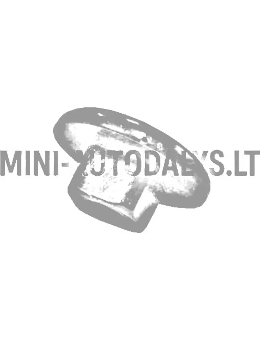 Paigaldusmutter tagaluugi Microcar Mudelile Esiteks