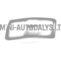 Kaitseraud tagumine parem Microcar MC