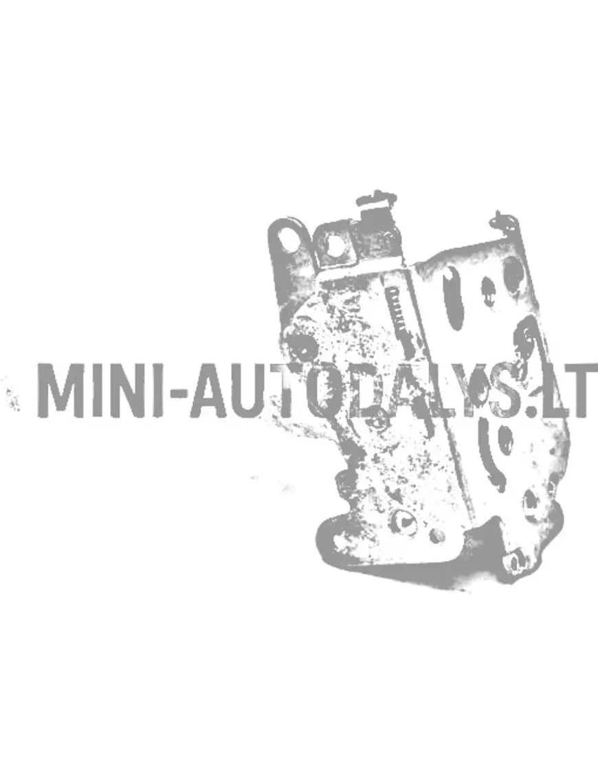 Ligier / Microcar sisemine parempoolne lukk