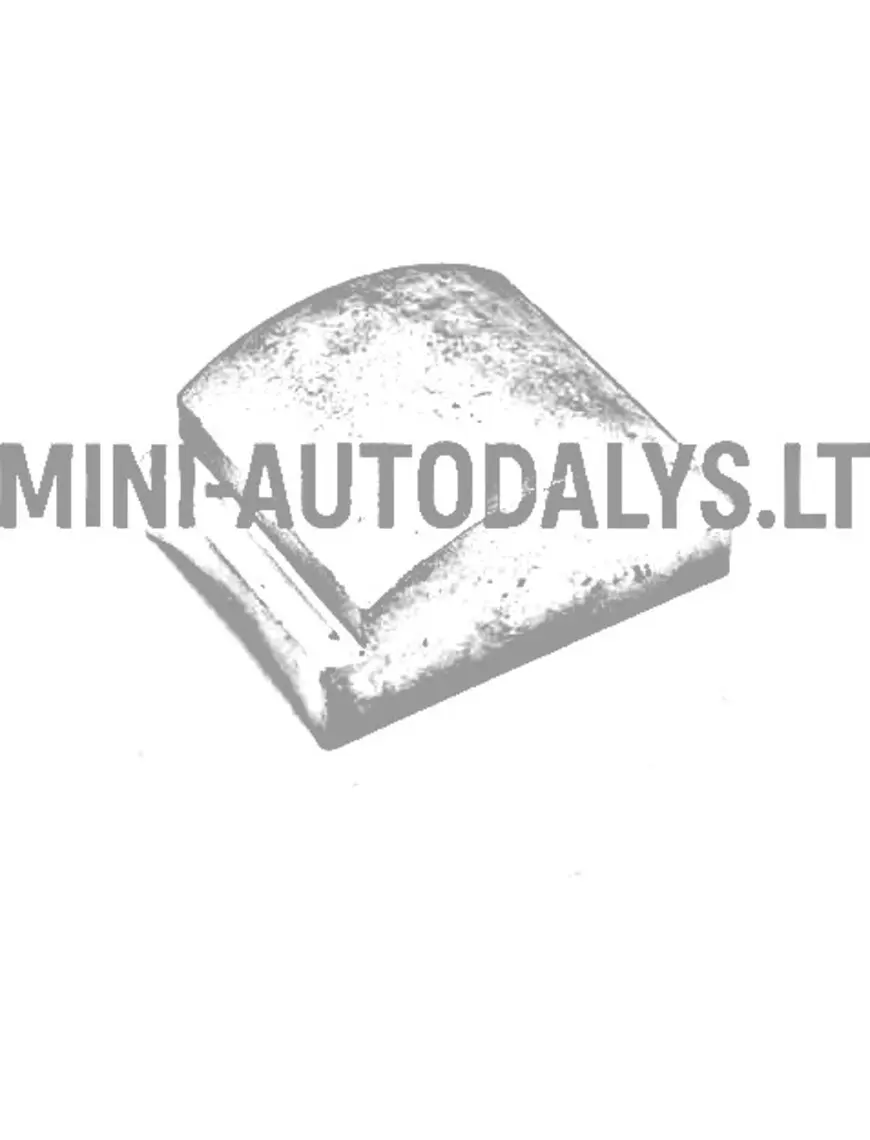 Mootori kaal Microcar / Ligier (260 grammi)