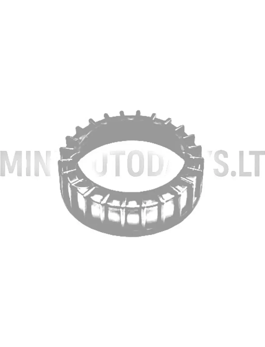 Kruvikinnitus paagi ujukile "Microcar"