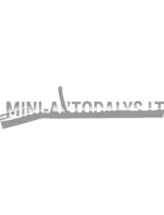 Keskmine väljalasketoru Microcar MC1 / MC2