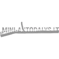 Keskmine väljalasketoru Microcar MC1 / MC2