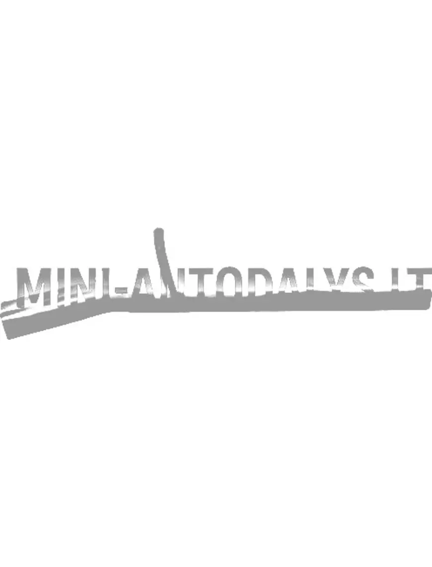 Keskmine väljalasketoru Microcar MC1 / MC2